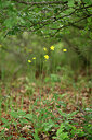 BUITEN BEELD Foto: 440956