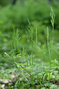 BUITEN BEELD Foto: 440959