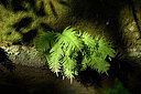 BUITEN BEELD Foto: 440961