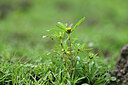BUITEN BEELD Foto: 440967