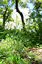 BUITEN BEELD Foto: 440972