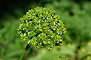 BUITEN BEELD Foto: 440975