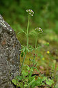 BUITEN BEELD Foto: 440981