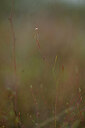 BUITEN BEELD Foto: 440982