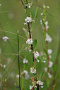 BUITEN BEELD Foto: 440986
