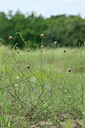 BUITEN BEELD Foto: 440990