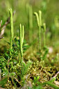 BUITEN BEELD Foto: 440991