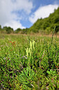 BUITEN BEELD Foto: 440993