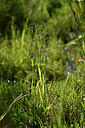 BUITEN BEELD Foto: 440999