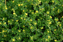 BUITEN BEELD Foto: 441000
