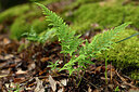 BUITEN BEELD Foto: 441002