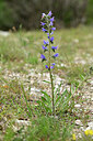 BUITEN BEELD Foto: 441008