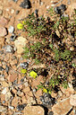 BUITEN BEELD Foto: 441009