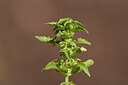 BUITEN BEELD Foto: 441014