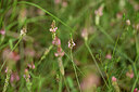 BUITEN BEELD Foto: 441015