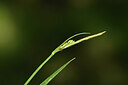 BUITEN BEELD Foto: 441016