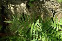 BUITEN BEELD Foto: 441018