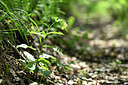 BUITEN BEELD Foto: 441019
