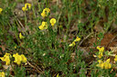 BUITEN BEELD Foto: 441021