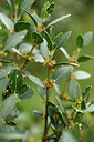 BUITEN BEELD Foto: 441024
