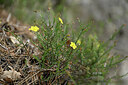 BUITEN BEELD Foto: 441025