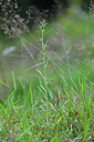BUITEN BEELD Foto: 441027