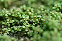 BUITEN BEELD Foto: 441031