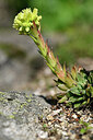 BUITEN BEELD Foto: 441036