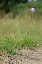 BUITEN BEELD Foto: 441037