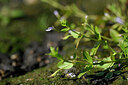 BUITEN BEELD Foto: 441039