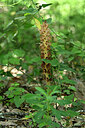 BUITEN BEELD Foto: 441040