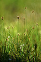 BUITEN BEELD Foto: 441041