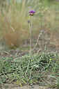 BUITEN BEELD Foto: 441042