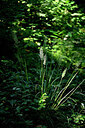BUITEN BEELD Foto: 441045