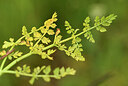 BUITEN BEELD Foto: 441046