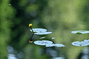 BUITEN BEELD Foto: 441050