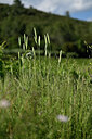 BUITEN BEELD Foto: 441052