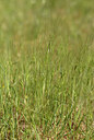 BUITEN BEELD Foto: 441053
