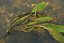BUITEN BEELD Foto: 441054