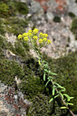 BUITEN BEELD Foto: 441056