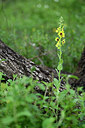 BUITEN BEELD Foto: 441059