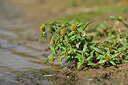 BUITEN BEELD Foto: 441062