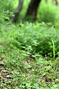 BUITEN BEELD Foto: 441064