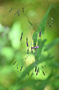 BUITEN BEELD Foto: 441066