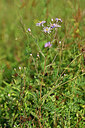 BUITEN BEELD Foto: 441068
