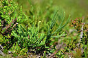 BUITEN BEELD Foto: 441075