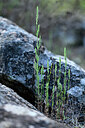 BUITEN BEELD Foto: 441076