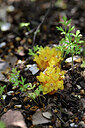 BUITEN BEELD Foto: 441077