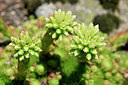 BUITEN BEELD Foto: 441078