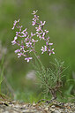 BUITEN BEELD Foto: 441080
